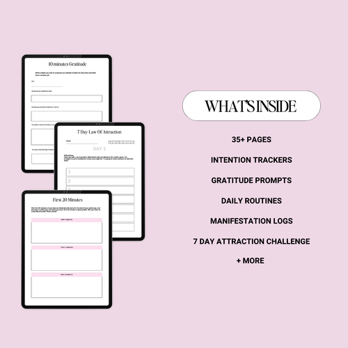 The Law Of Attraction Planner⭐